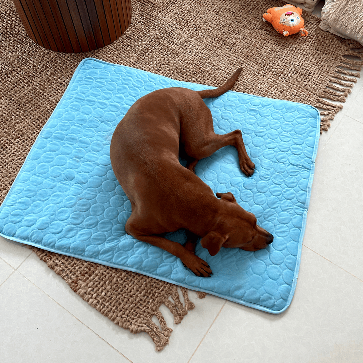 ChillMat – Verkoelende Hondenmat voor Optimaal Comfort