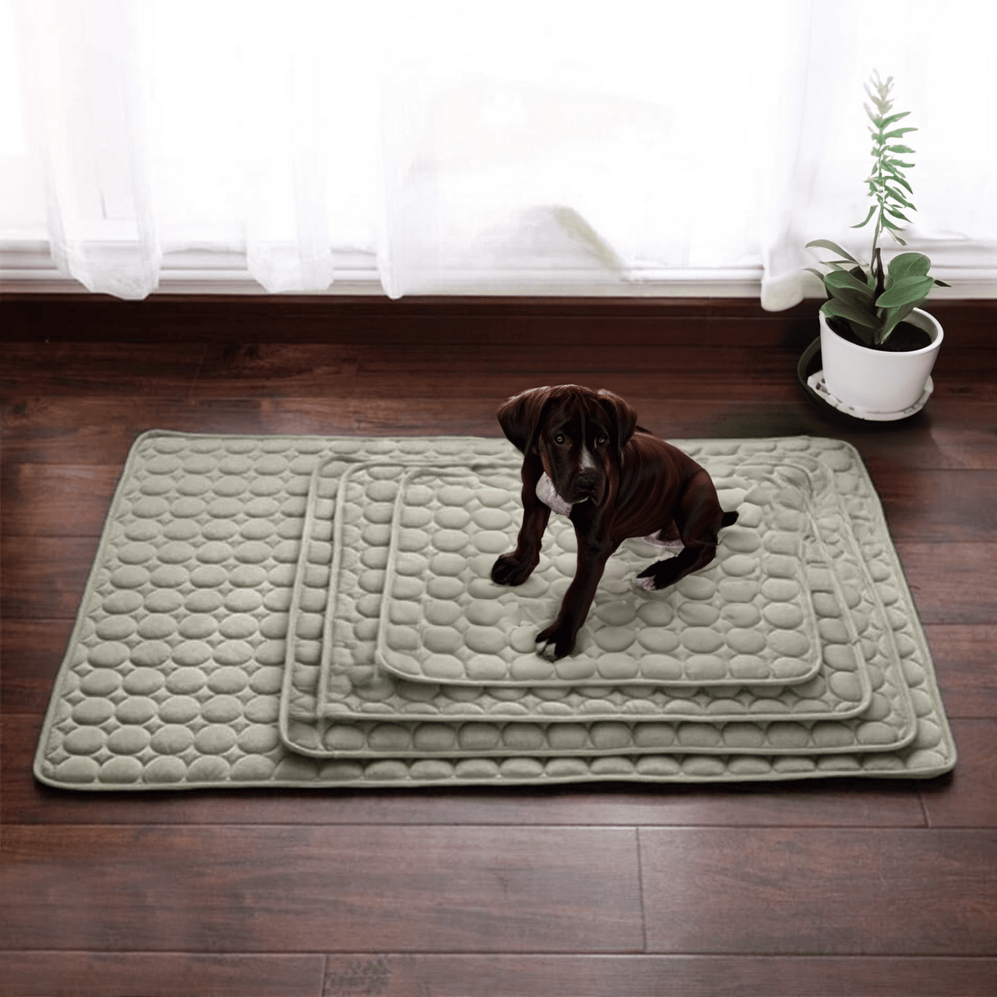 ChillMat – Verkoelende Hondenmat voor Optimaal Comfort