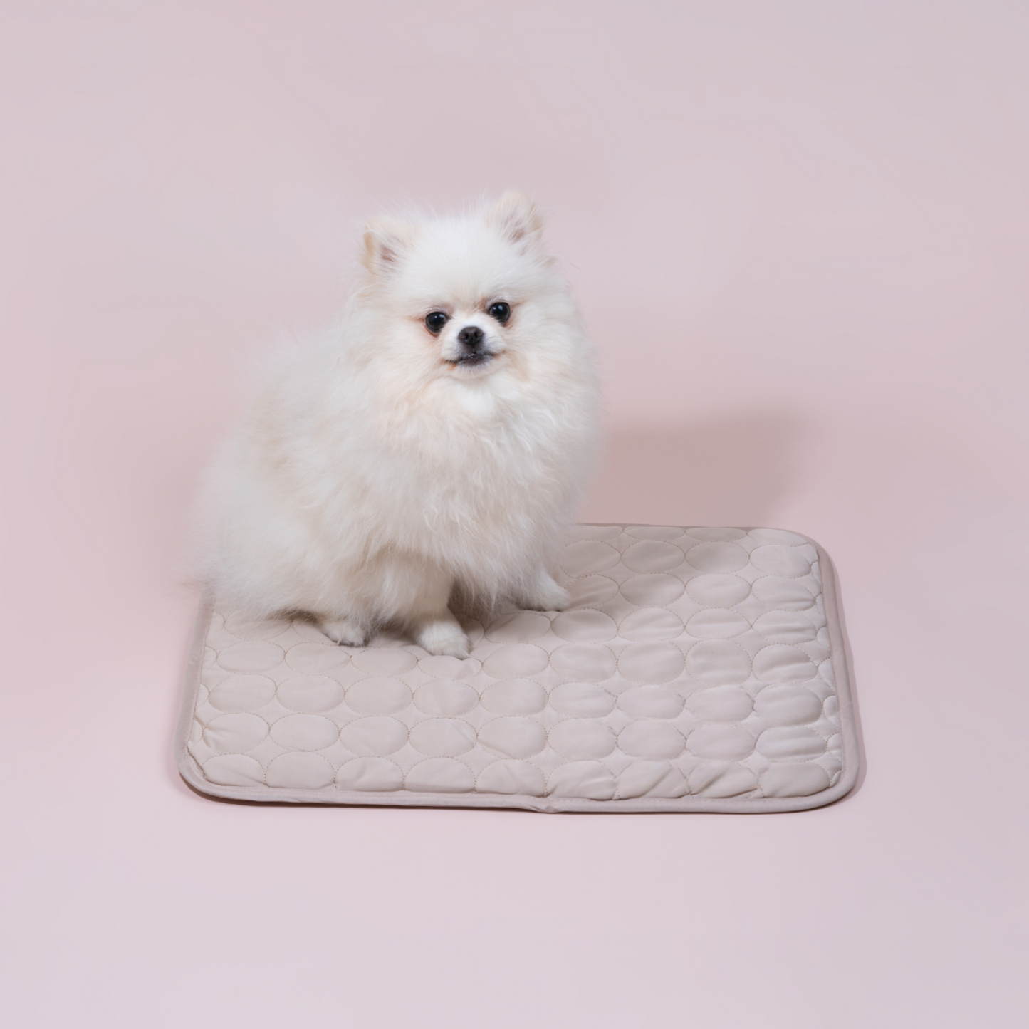 ChillMat – Verkoelende Hondenmat voor Optimaal Comfort