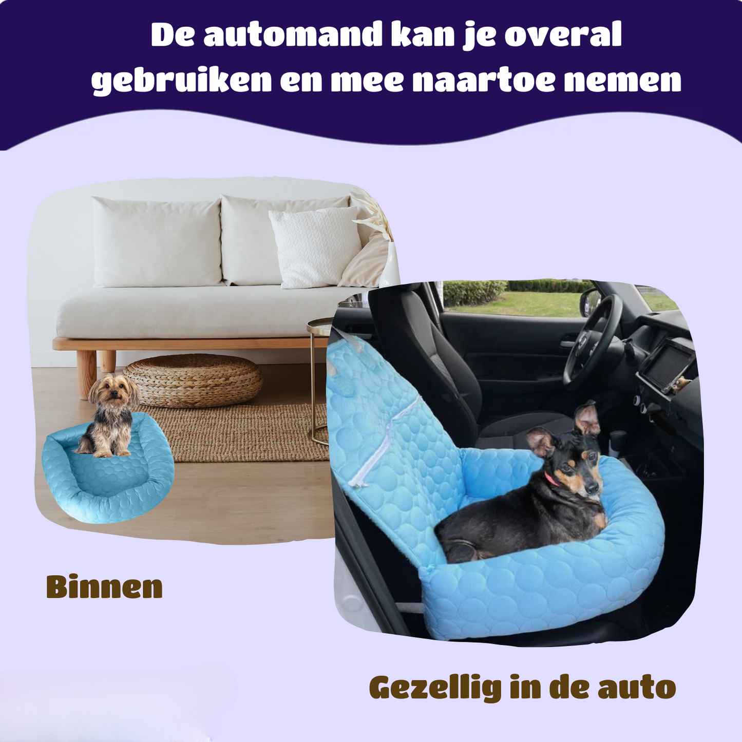 CoolRide – Verkoelend Autostoeltje voor Huisdieren