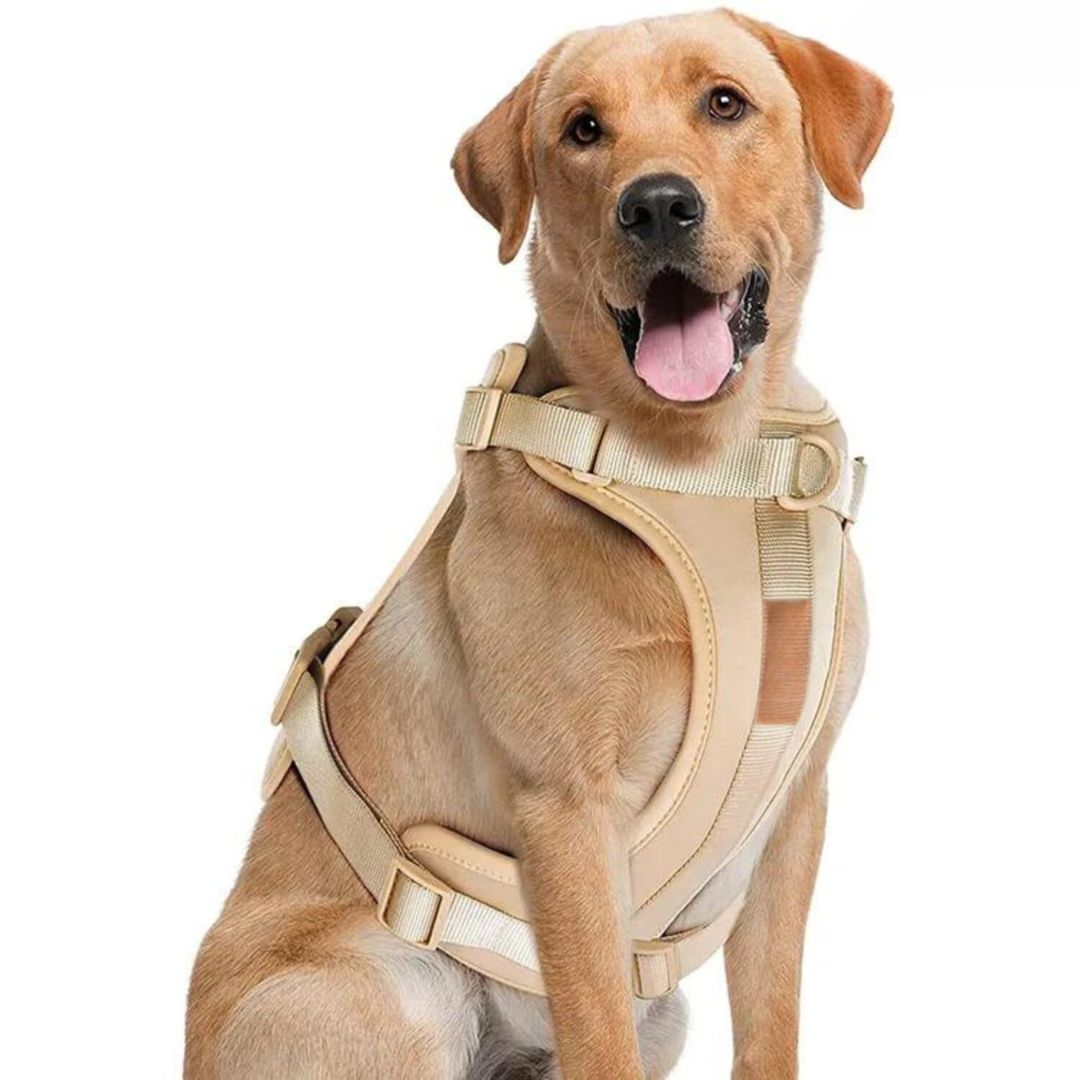 Comfortabel Harnas voor Uw Hond – Inclusief Riem
