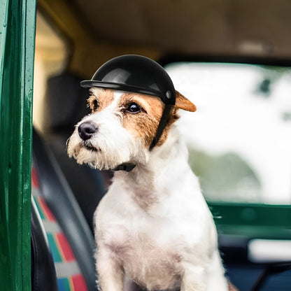 PAWFENDER – Beschermende hondenhelm met verstelbare band voor veiligheid en comfort