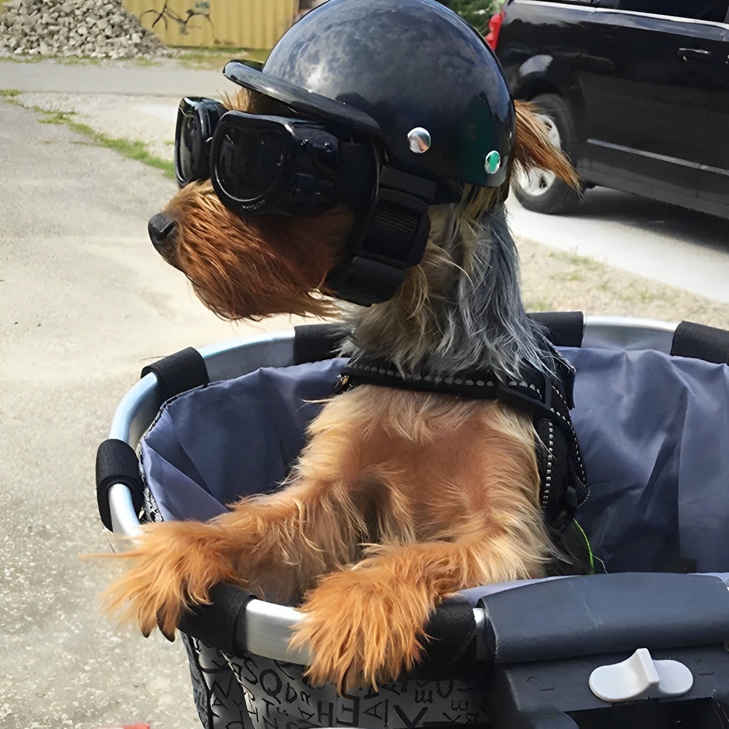PAWFENDER – Beschermende hondenhelm met verstelbare band voor veiligheid en comfort