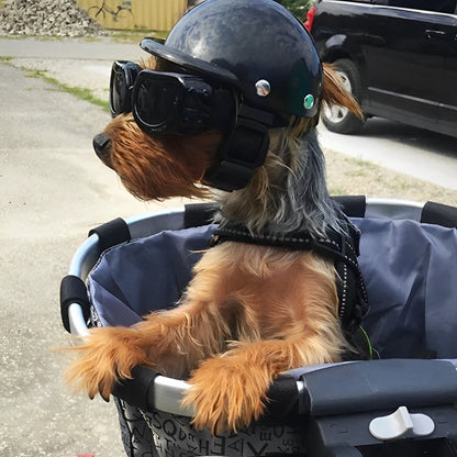 PAWFENDER – Beschermende hondenhelm met verstelbare band voor veiligheid en comfort