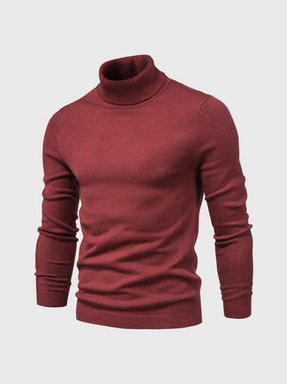 DAVID – Heren coltrui met slim fit en stijlvolle uitstraling - Glamorix