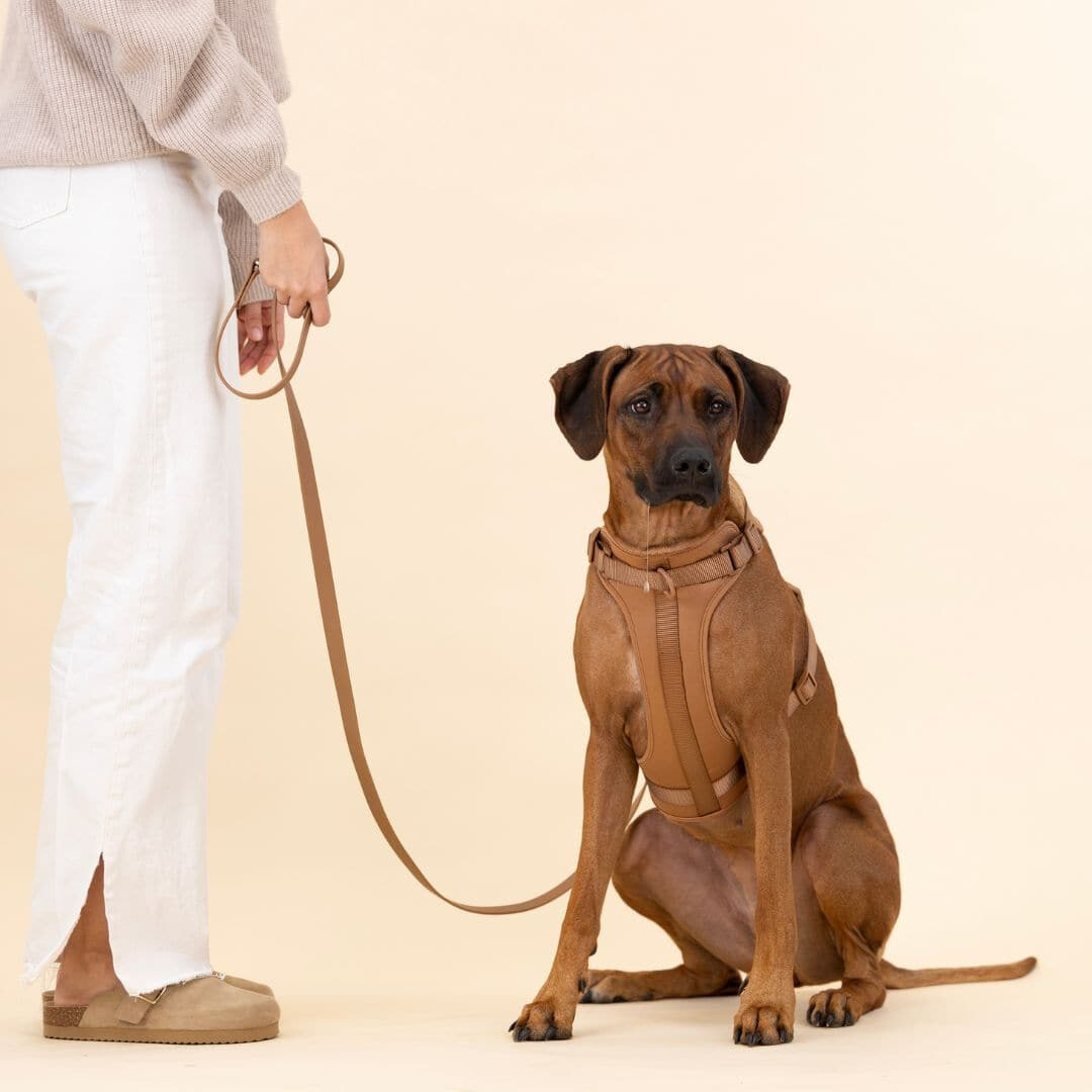Comfortabel Harnas voor Uw Hond – Inclusief Riem