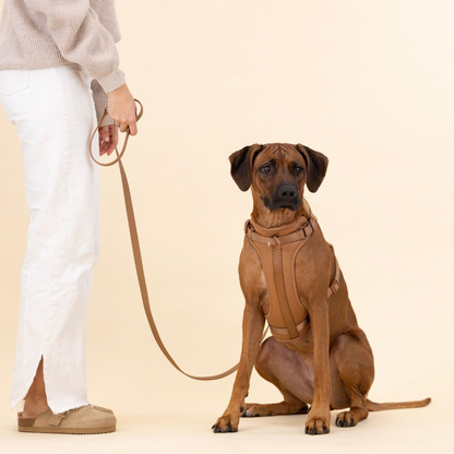 Comfortabel Harnas voor Uw Hond – Inclusief Riem