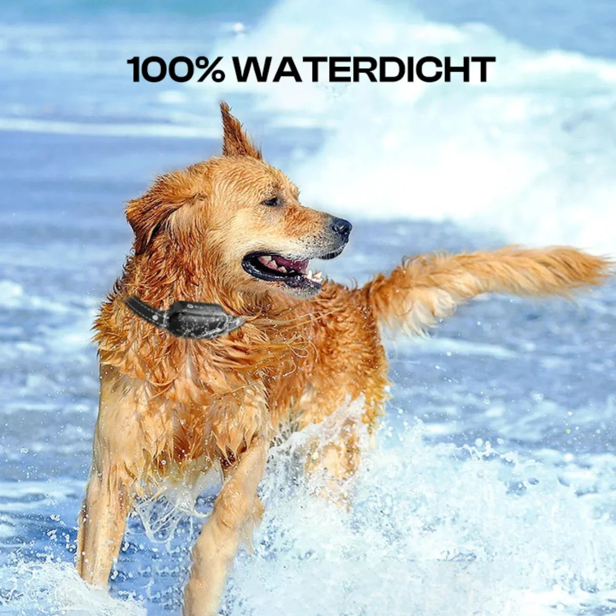 Waterdichte honden trainingshalsband met afstandsbediening en 1000m bereik – CANITRA SmartTrain - Glamorix