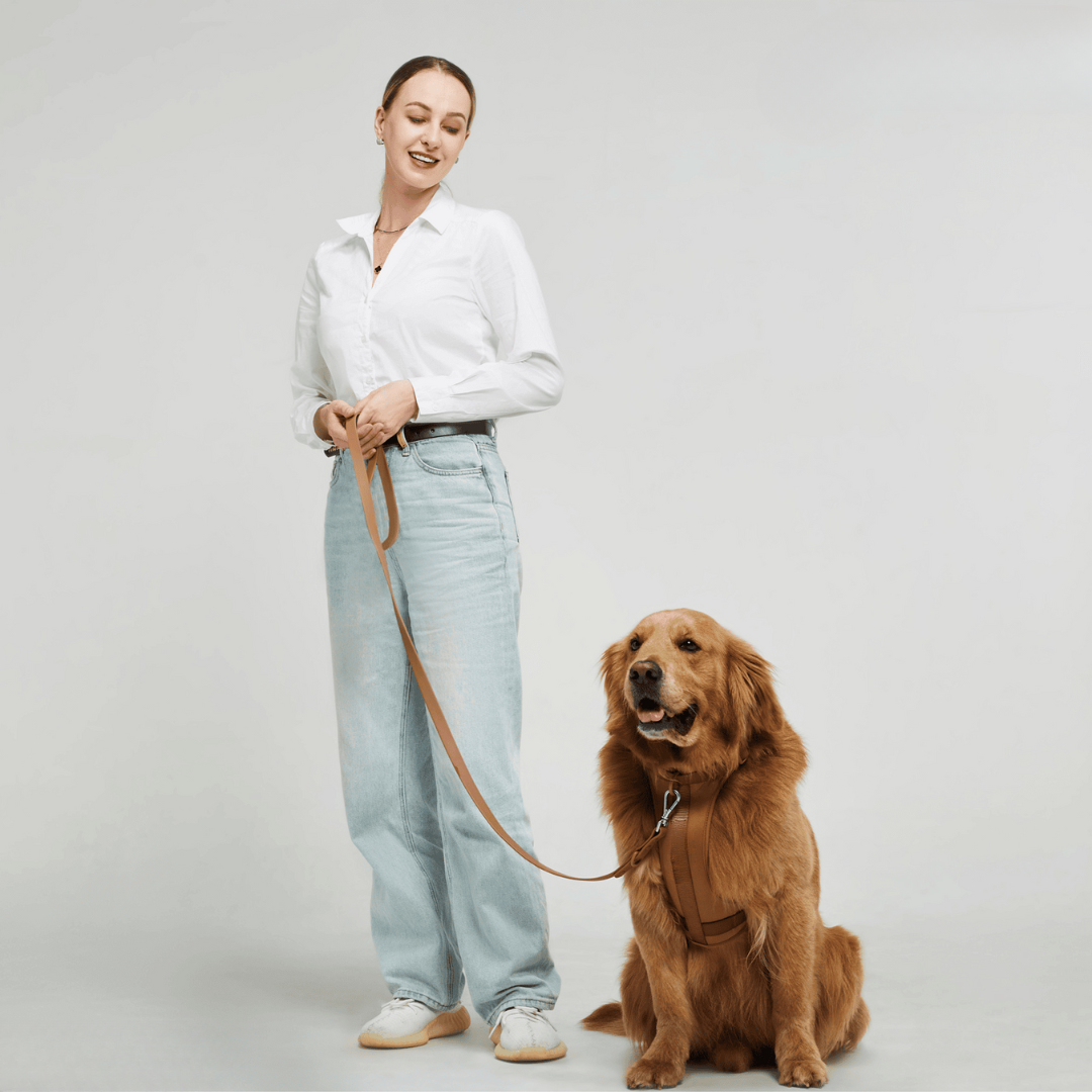 Comfortabel Harnas voor Uw Hond – Inclusief Riem