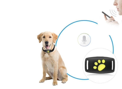 Realtime GPS-tracker halsband voor katten met satellietverbinding – FELINIQ SafeTrack - Glamorix